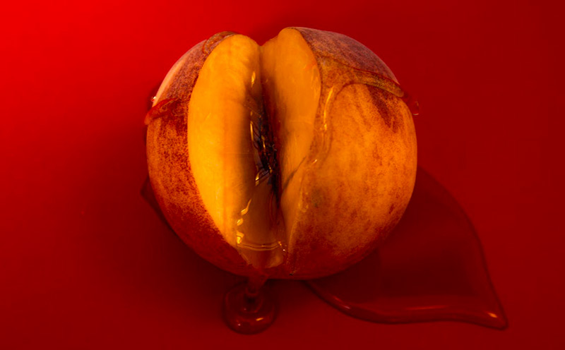 clitoris