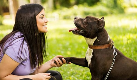 femme refuge animaux