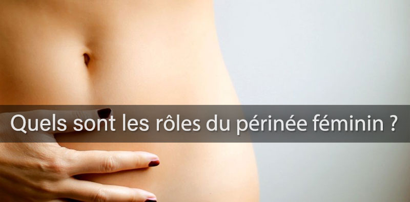 quels sont les rôles du périnée